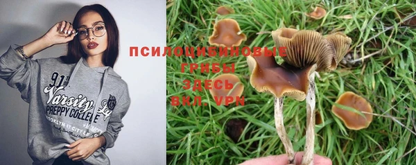 a pvp Абинск