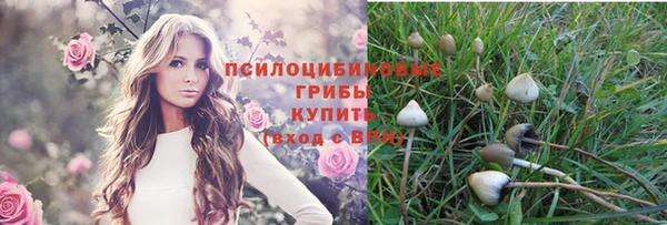 хмурый Абдулино