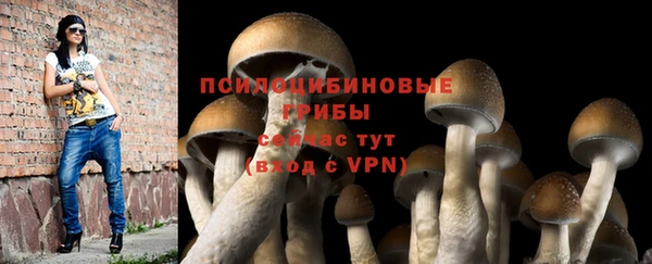 хмурый Абдулино