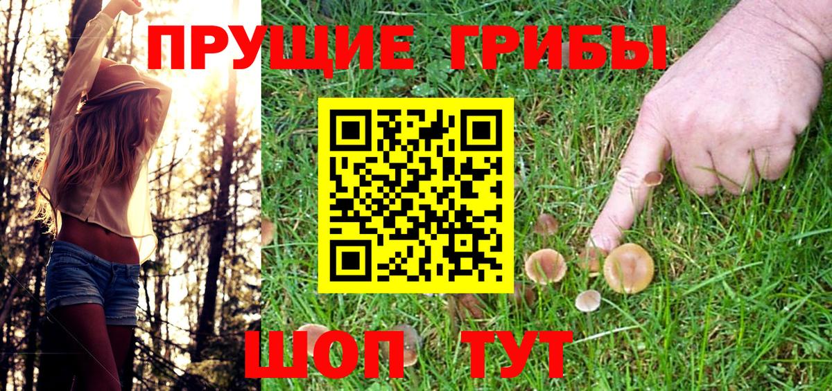 Псилоцибиновые грибы MAGIC MUSHROOMS  Вход с VPN  Галлюциногенные грибы GOLDEN TEACHER  Ростов-на-Дону 
