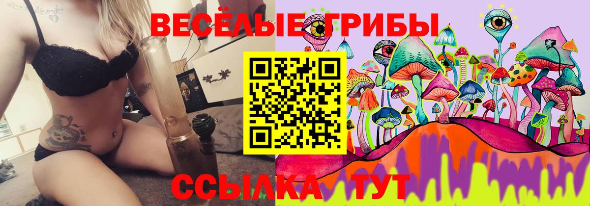 Галлюциногенные грибы мицелий Ростов-на-Дону